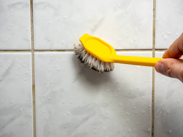 Best Post-Flood Mold Remediation in Byron, CA